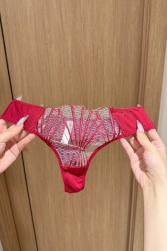 Sexy Sheer Mesh Thong with Seashell Embroidery - French Style Romantic Lace Intimates